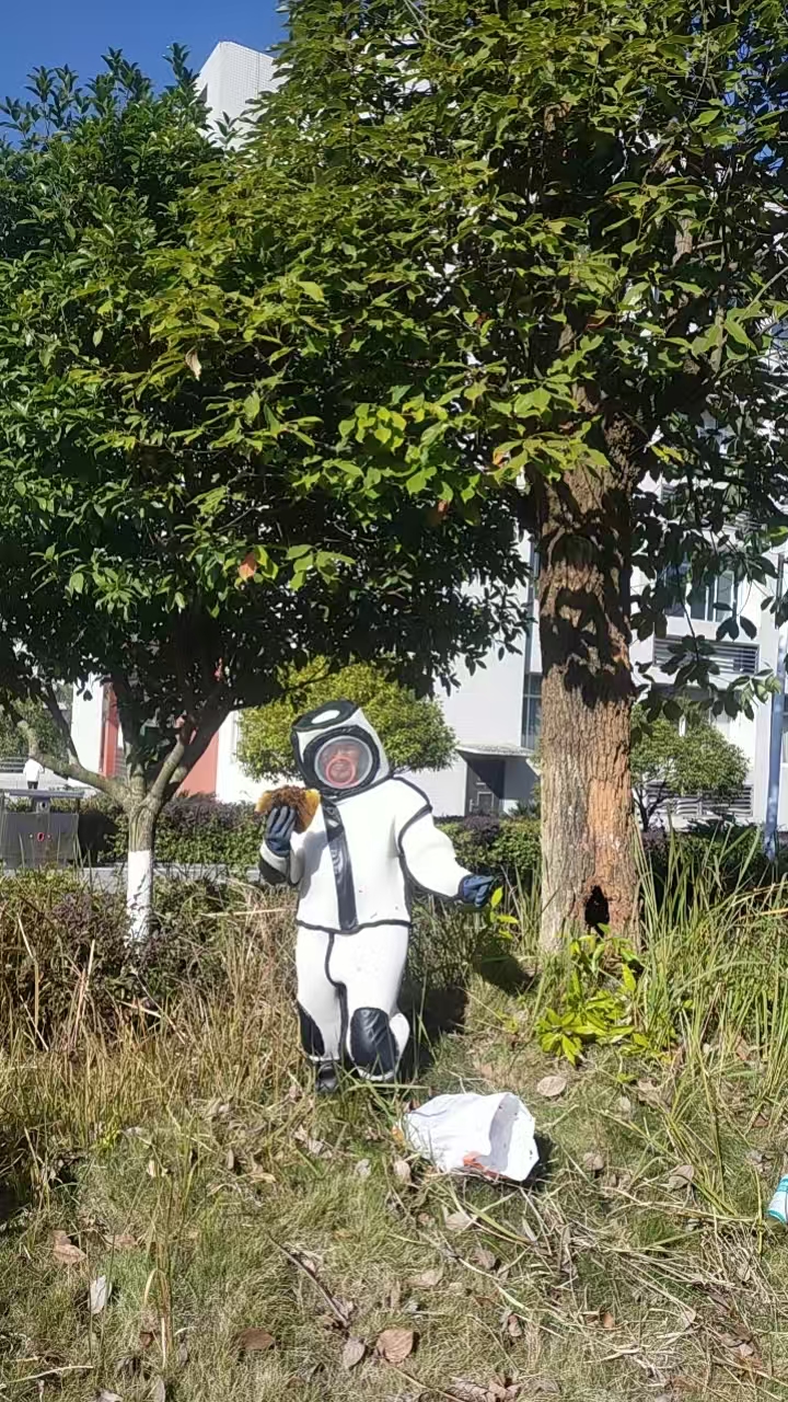 欧冠篮球联赛官网