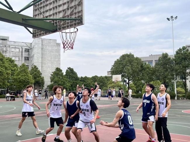 欧冠篮球联赛官网