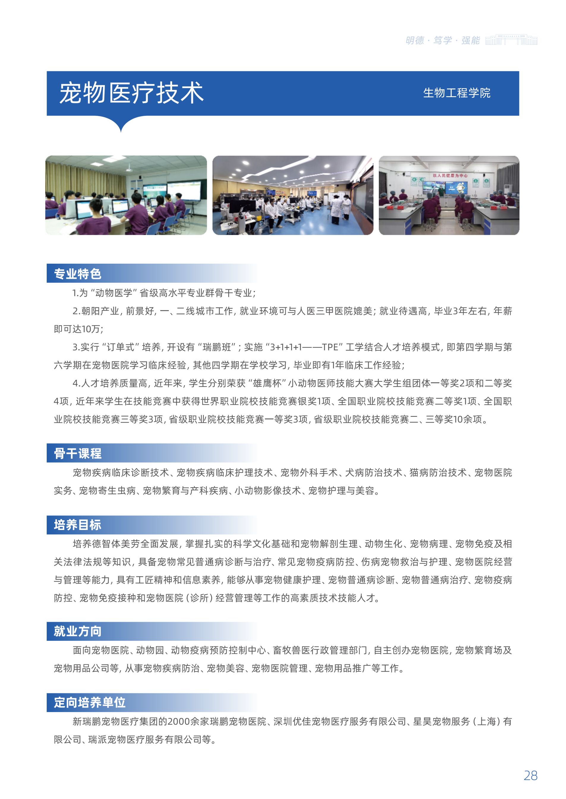 欧冠篮球联赛官网