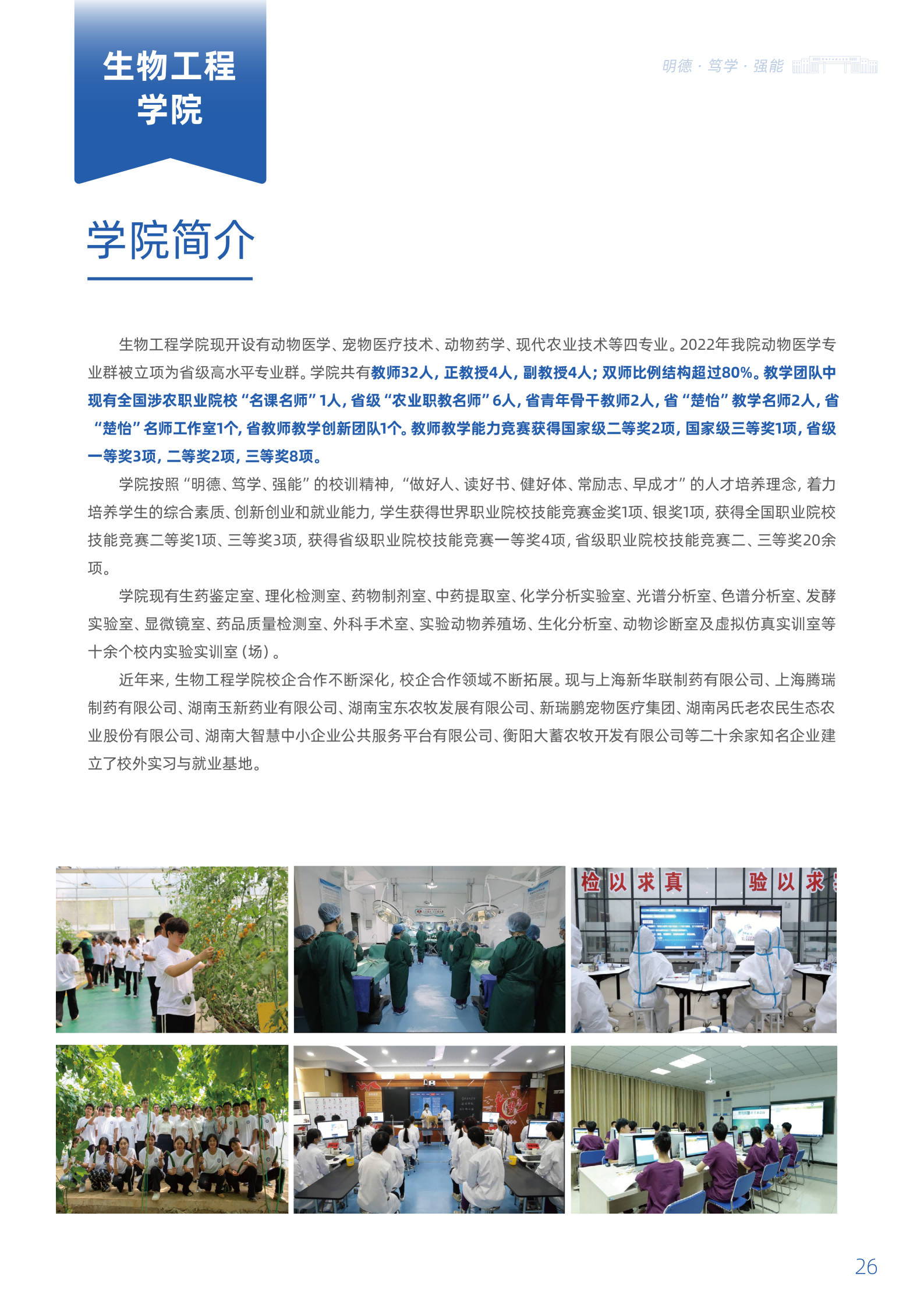 欧冠篮球联赛官网